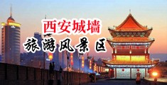 黑人鸡巴,奶水视频中国陕西-西安城墙旅游风景区